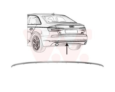 Trim/Protective Strip, bumper