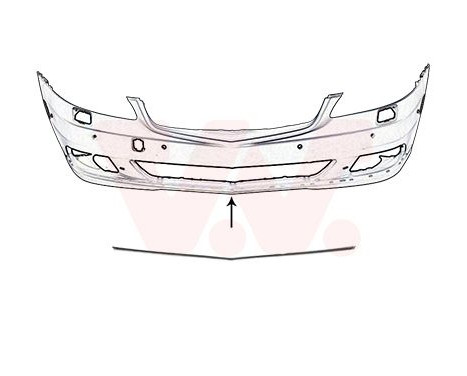 Trim/Protective Strip, bumper