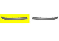 Trim/Protective Strip, bumper