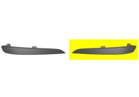 Trim/Protective Strip, bumper