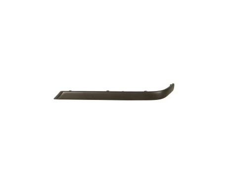 Trim/Protective Strip, bumper