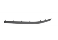 Trim/Protective Strip, bumper