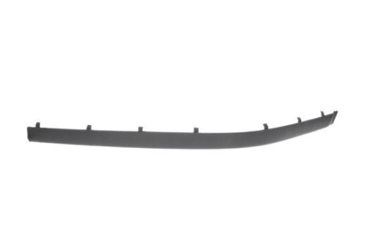 Trim/Protective Strip, bumper