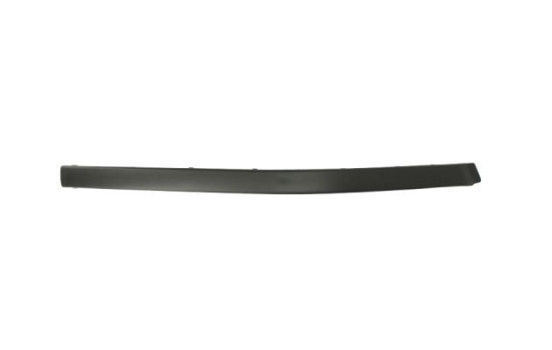 Trim/Protective Strip, bumper