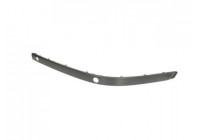 Trim/Protective Strip, bumper