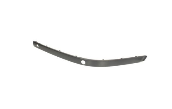 Trim/Protective Strip, bumper