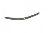Trim/Protective Strip, bumper