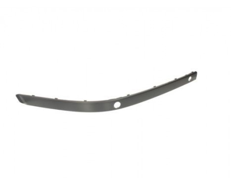 Trim/Protective Strip, bumper