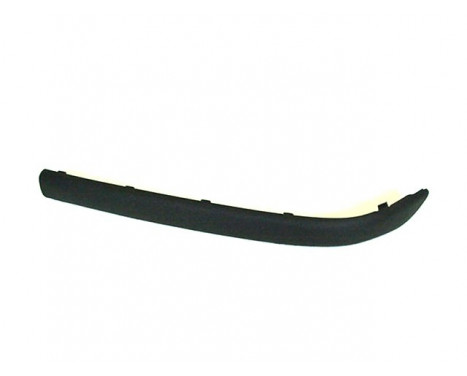 Trim/Protective Strip, bumper