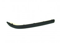 Trim/Protective Strip, bumper