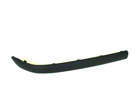 Trim/Protective Strip, bumper