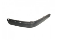 Trim/Protective Strip, bumper