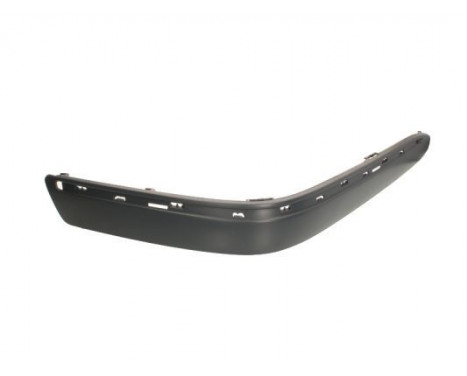 Trim/Protective Strip, bumper
