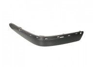 Trim/Protective Strip, bumper