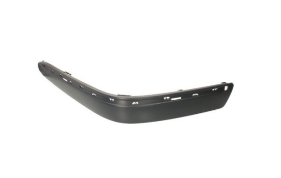 Trim/Protective Strip, bumper