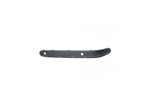 Trim/Protective Strip, bumper