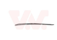 Trim/Protective Strip, bumper