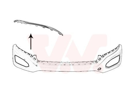 Trim/Protective Strip, bumper