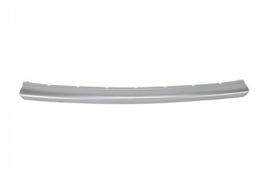 Trim/Protective Strip, bumper