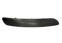 Trim/Protective Strip, bumper