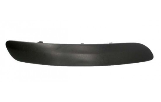 Trim/Protective Strip, bumper