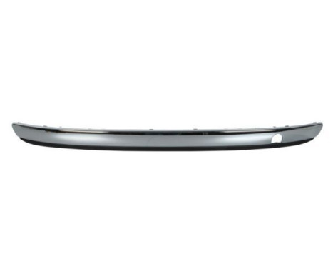 Trim/Protective Strip, bumper