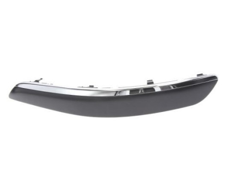 Trim/Protective Strip, bumper