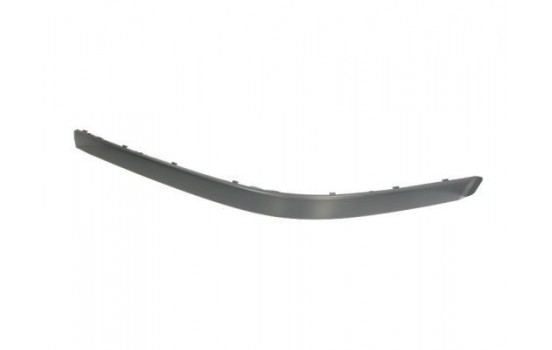 Trim/Protective Strip, bumper