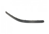 Trim/Protective Strip, bumper