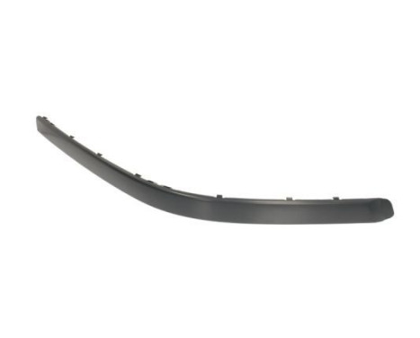 Trim/Protective Strip, bumper