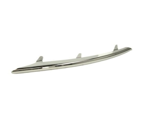 Trim/Protective Strip, bumper