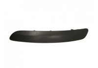 Trim/Protective Strip, bumper