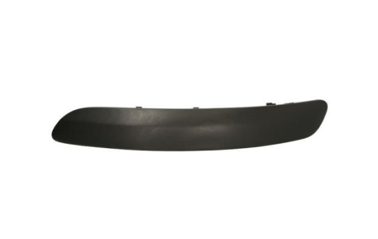 Trim/Protective Strip, bumper