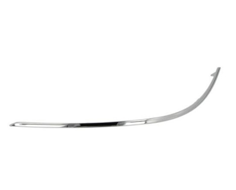Trim/Protective Strip, bumper