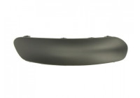 Trim/Protective Strip, bumper