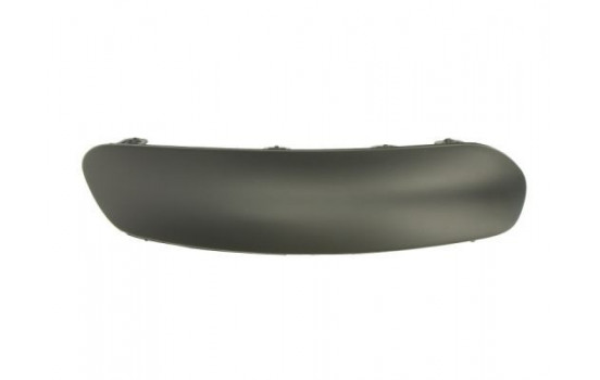 Trim/Protective Strip, bumper