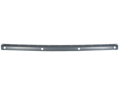 Trim/Protective Strip, bumper