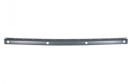 Trim/Protective Strip, bumper
