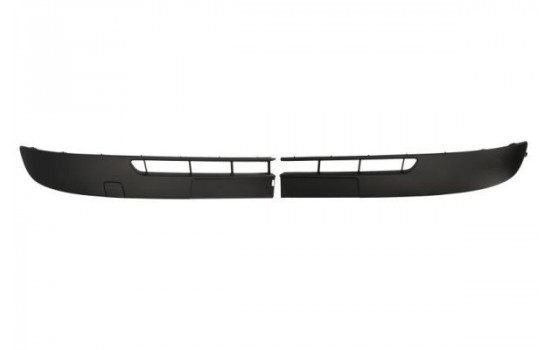 Trim/Protective Strip, bumper