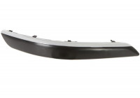 Trim/Protective Strip, bumper