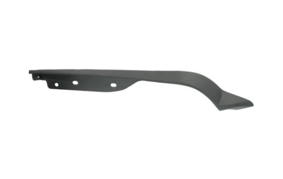 Trim/Protective Strip, bumper