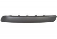 Trim/Protective Strip, bumper