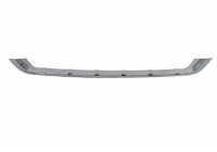Trim/Protective Strip, bumper