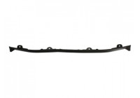 Trim/Protective Strip, bumper