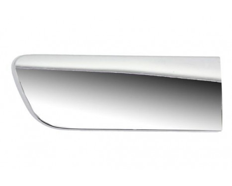 Trim/Protective Strip, bumper