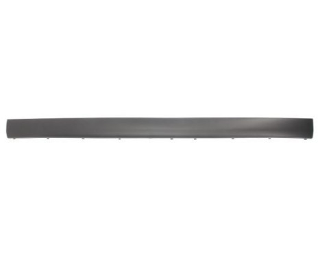 Trim/Protective Strip, bumper