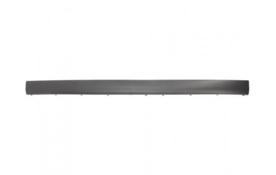 Trim/Protective Strip, bumper