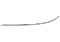 Trim/Protective Strip, bumper