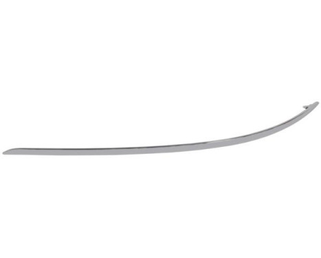 Trim/Protective Strip, bumper