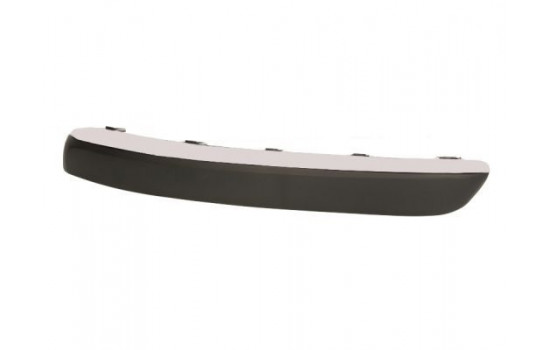 Trim/Protective Strip, bumper